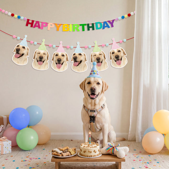 FLAIR GIFTS 2-Pack Happy Birthday Felt Garland with Pom Poms & Birthday Hats, 8ft Pre-Strung Reusable Colorful Felt Banner, Cute Pastel Bunting for Kids Party Decorations Backdrop