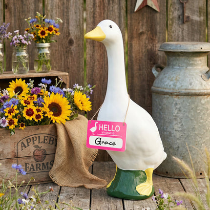 FLAIR GIFTS 4PCS Writable Sign Board Set for 23in Proch Goose Statue
