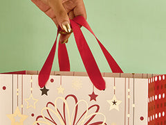 Gift Bag with Ribbon Handles