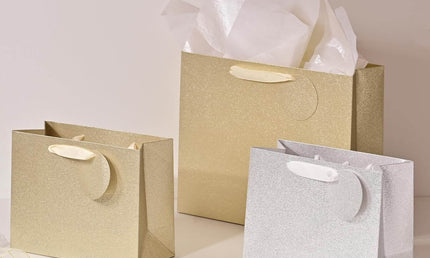Posh Paper 9“ and 12 1⁄2“ Gift Bags, Large Gift Bags, Pack of 12