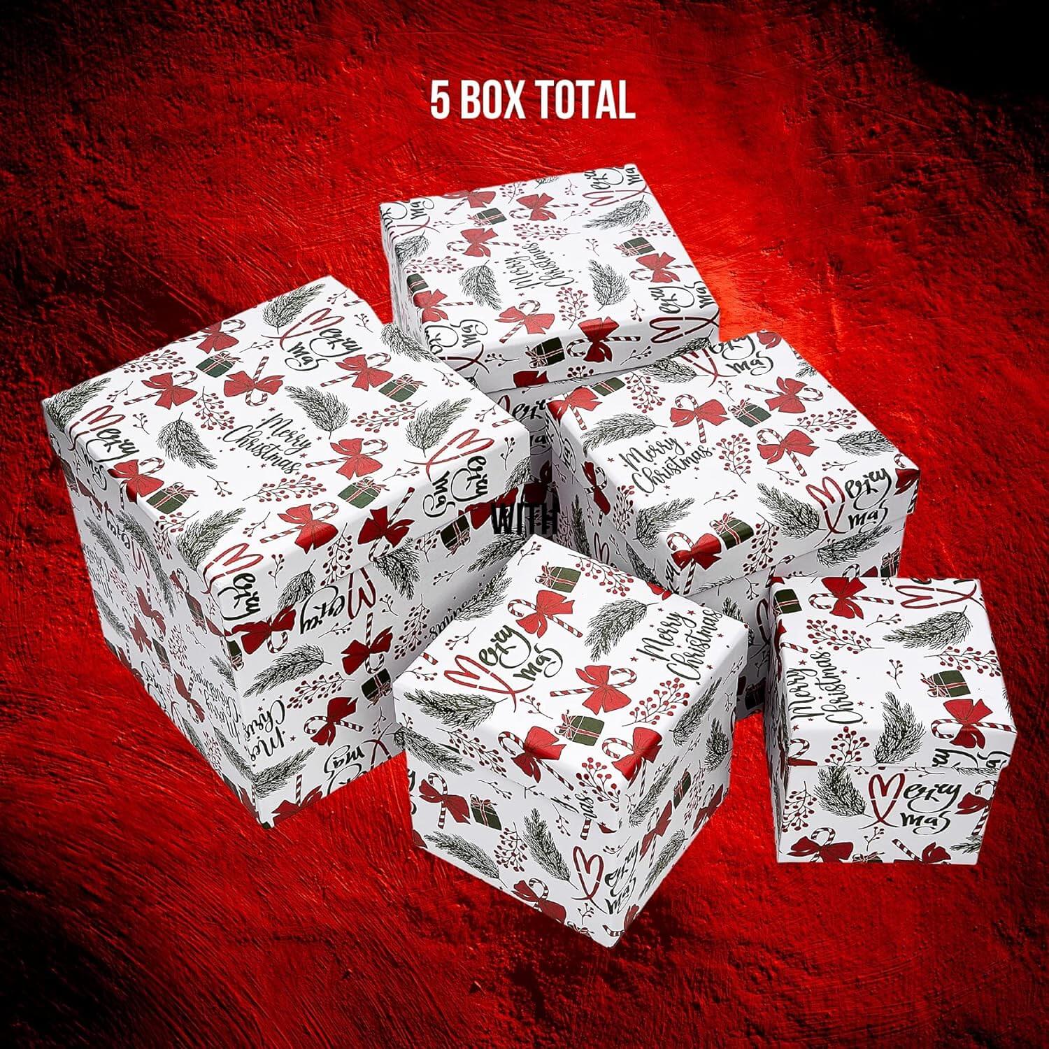 Posh Paper Christmas Gift Boxes for Gift Wrapping, Pack of 5