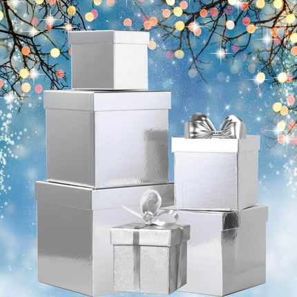 Posh Paper Gift Boxes, Christmas Gift Boxes, Silver - Pack of 5