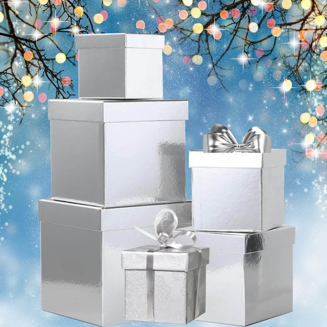 Posh Paper Gift Boxes, Christmas Gift Boxes, Silver - Pack of 5