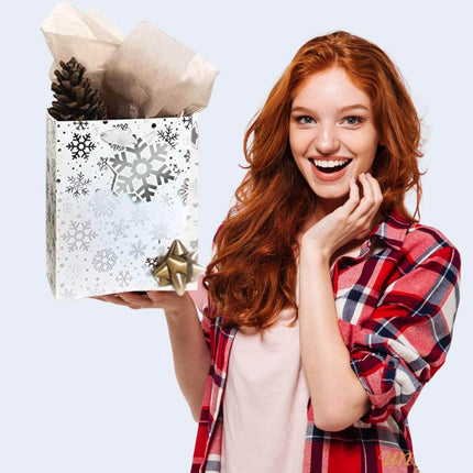 Posh Paper 9 1⁄4“ Christmas Gift Bags, Medium Size, Metallic Silver